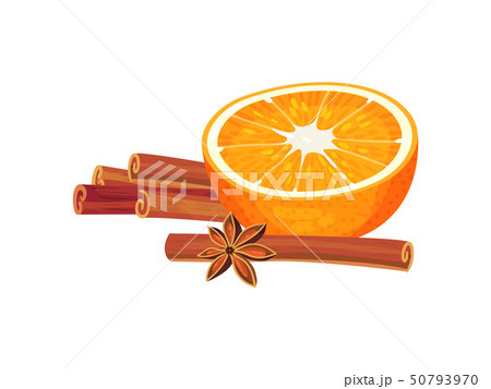 Half an orange lies between the cinnamon sticks. Vector illustration on white background. 50793970