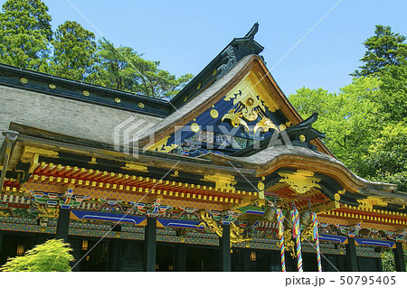 国宝大崎八幡神社 仙台市 国宝大崎八幡宮 国宝大崎八幡神社 仙台市 国宝大崎八幡宮 50795405