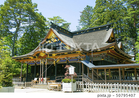 国宝大崎八幡神社　仙台市　国宝大崎八幡宮 50795407