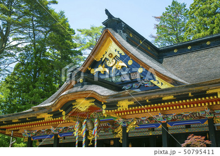 国宝大崎八幡神社　仙台市　国宝大崎八幡宮 50795411