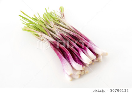 ラッキョウ（越のレッド） 50796132