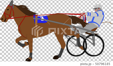 horse and jockey harness racing color illustration 50796185