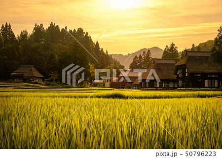 夏の農村風景 (荻ノ島環状集落の夕暮れ) 夏の農村風景 (荻ノ島環状集落の夕暮れ) 50796223