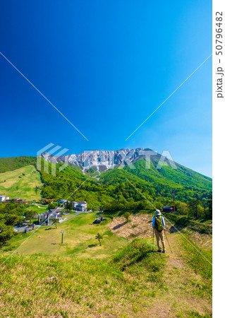 大山 初夏 トレッキング 大山 初夏 トレッキング 50796482