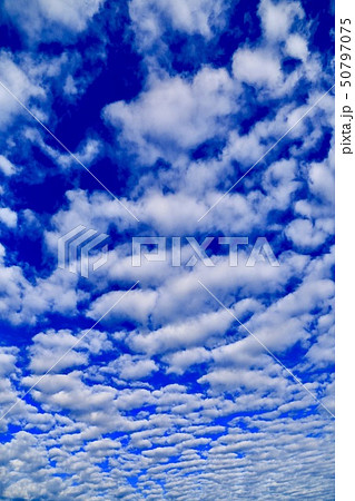 いわし雲 うろこ雲 さば雲の写真素材