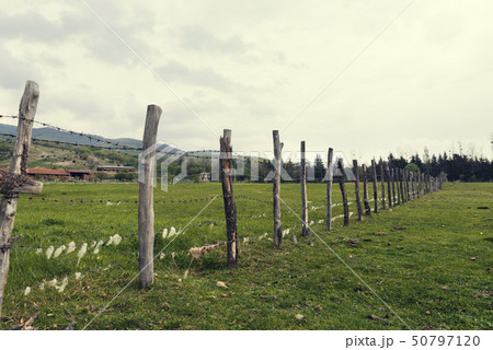 Wooden fence with barbed wire with sheep wool  50797120