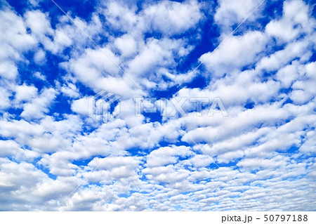 いわし雲 うろこ雲 さば雲の写真素材