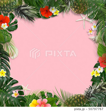 背景 海 夏 モンステラ プルメリア ハイビスカス パイナップル トロピカル ピンク フレームのイラスト素材