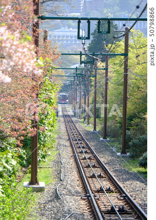 箱根登山鉄道 50798866
