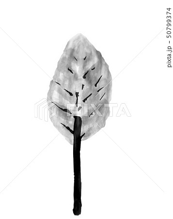 街路樹 イラスト 墨 グレー 手書き のイラスト素材