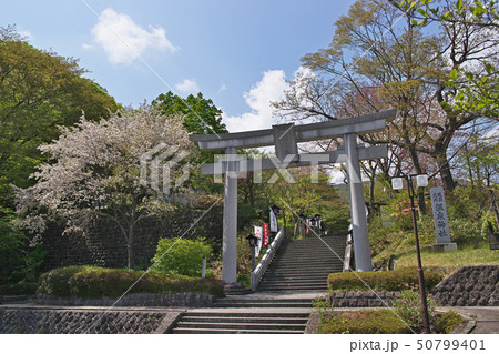 那須温泉神社　鳥居（春） 50799401