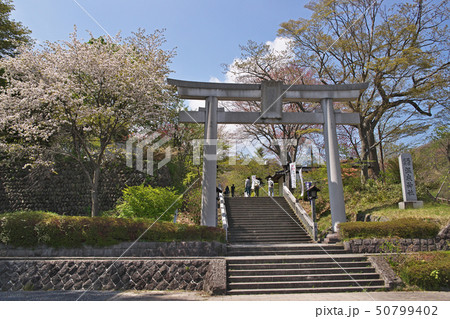 那須温泉神社　鳥居（春） 50799402