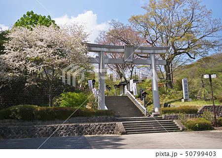 那須温泉神社　鳥居（春） 50799403
