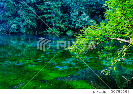 龍ヶ窪（竜ヶ窪） 50799592