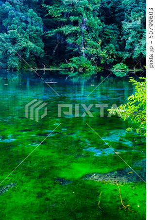 龍ヶ窪（竜ヶ窪） 50799603