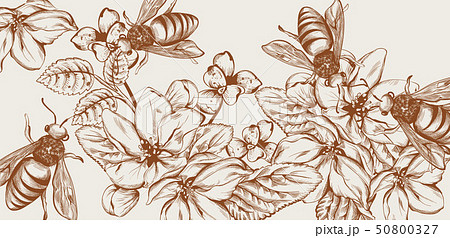 Honey, bees and flowers Vector line art card. 50800327