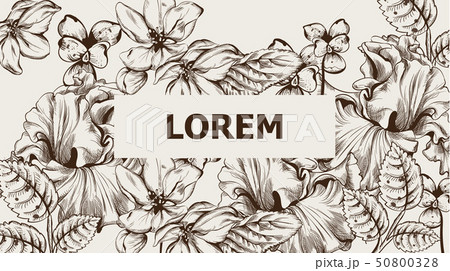 Vintage card with flowers Vector lineart. 50800328