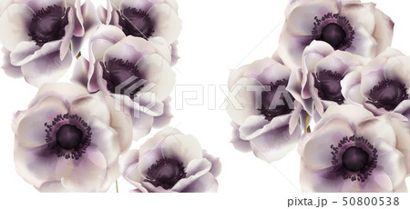 Gerbera flowers card Vector watercolor. Delicate Gerbera flowers card Vector watercolor. Delicate 50800538
