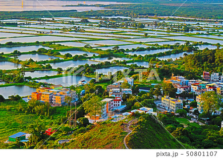 Ar Kai Shan, Yuen Long, Hong Kong 50801107