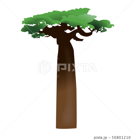 バオバブの木のイラスト素材