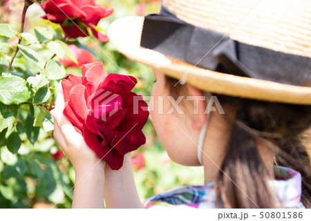 赤いバラの香りを嗅ぐ女の子 50801586