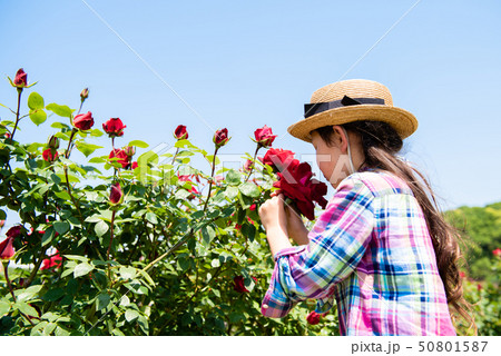 赤いバラの香りを嗅ぐ女の子 50801587