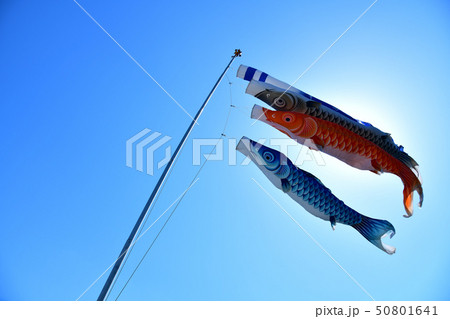 北杜市白州町、青空を泳ぐ鯉のぼり 50801641