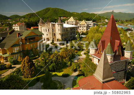 view from a height. modern luxury hotel in Victorian style with beautiful well-groomed trees against 50802965