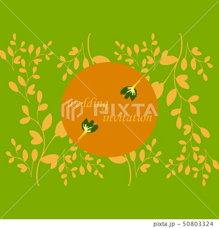 Wedding invitation with rose flowers and leaves , watercolor, isolated on white. Vector Watercolour. Wedding invitation with rose flowers and leaves , watercolor, isolated on white. Vector Watercolour. 50803324