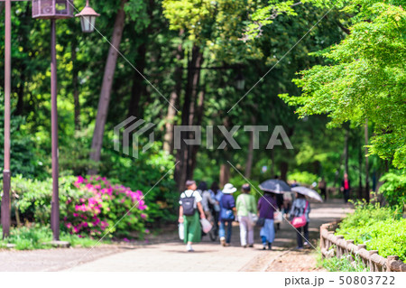 東京 春の井の頭公園 東京 春の井の頭公園 50803722