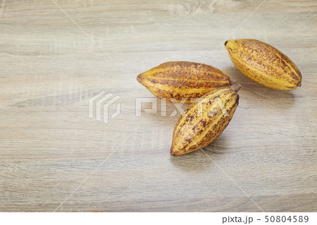 Fresh cocoa pods on table Fresh cocoa pods on table 50804589