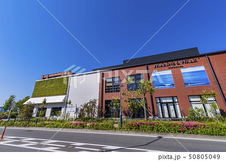 マリン アンド ウォーク ヨコハマの風景 50805049