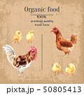 Rooster, Chicken and chicks on the vintage background. Poster farm animals watercolor. 50805413