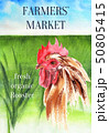 Rooster on the natural landscape. Poster farm animals watercolor. 50805415