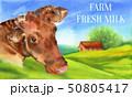 Cow. Poster farm animals watercolor. 50805417