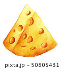 Cheese closeup. Organic eat. Yellow watercolor illustration. 50805431