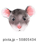 Wild rat. Mouse Chinese new year. Watercolor illustration. 50805434