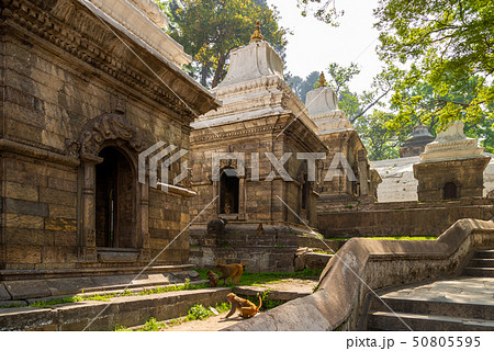 The Pandra Shivalaya located on Bagmati river 50805595