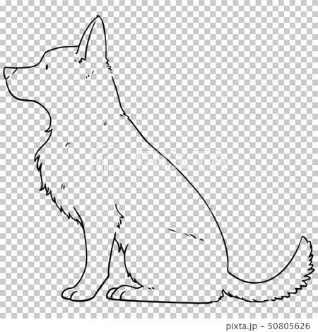 お座りするジャーマンシェパードのイラスト　輪郭線のみ 50805626