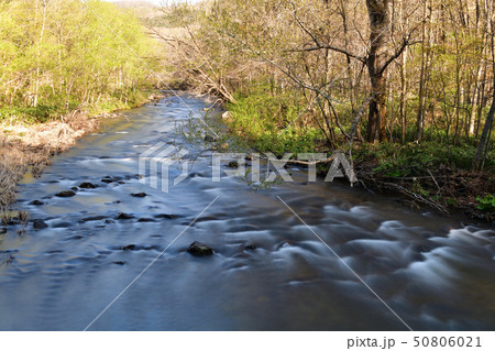 春の北海道森町鳥崎八景で鳥崎川の渓流の風景を撮影 春の北海道森町鳥崎八景で鳥崎川の渓流の風景を撮影 50806021