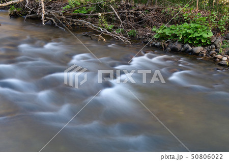 春の北海道森町鳥崎八景で鳥崎川の渓流の風景を撮影 春の北海道森町鳥崎八景で鳥崎川の渓流の風景を撮影 50806022