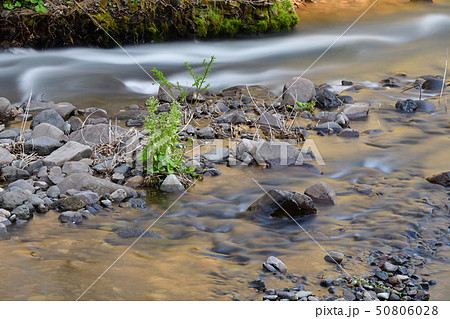 春の北海道森町鳥崎八景で鳥崎川の渓流の風景を撮影 春の北海道森町鳥崎八景で鳥崎川の渓流の風景を撮影 50806028