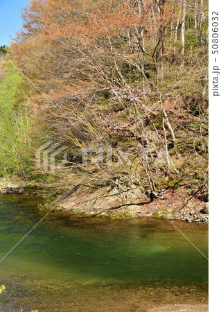 春の北海道森町鳥崎八景で鳥崎川の渓流の風景を撮影 春の北海道森町鳥崎八景で鳥崎川の渓流の風景を撮影 50806032