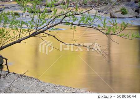 春の北海道森町鳥崎八景で鳥崎川の渓流の風景を撮影 春の北海道森町鳥崎八景で鳥崎川の渓流の風景を撮影 50806044
