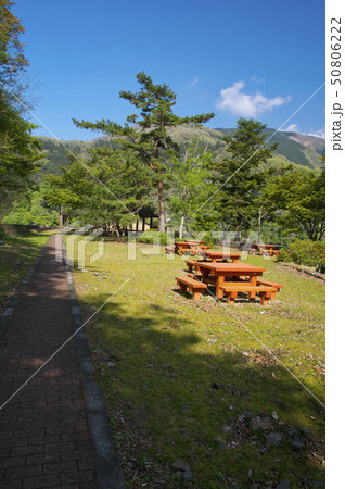 新緑の奥多摩湖 展望広場 新緑の奥多摩湖 展望広場 50806222