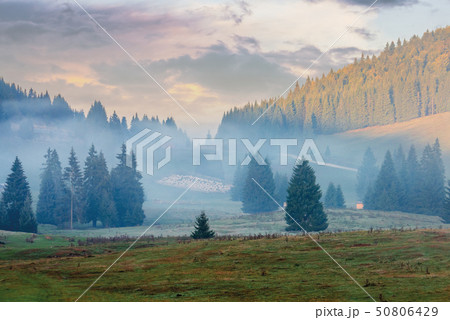 gorgeous sunrise in romanian mountains gorgeous sunrise in romanian mountains 50806429
