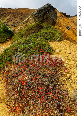 安達太良山・沼ノ平の火口壁稜線を行く登山者 安達太良山・沼ノ平の火口壁稜線を行く登山者 50807221