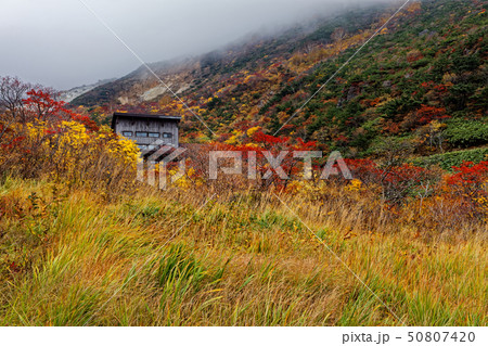 安達太良山の紅葉とくろがね小屋 50807420