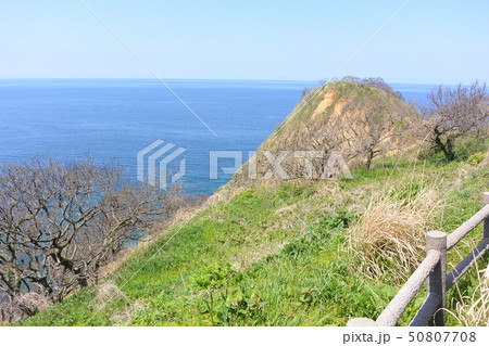 粟島の西海岸 50807708