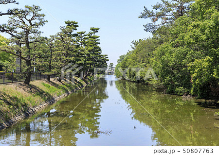 大阪・仁徳天皇陵（大仙陵古墳）・世界遺産 50807763